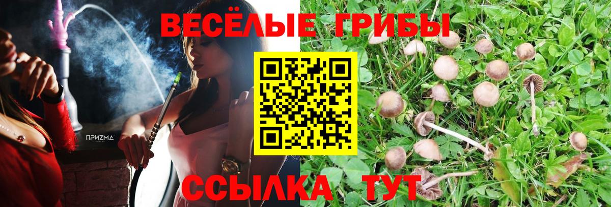 Галлюциногенные грибы Psilocybine cubensis Малоярославец