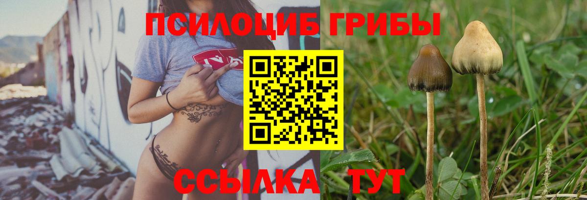 Галлюциногенные грибы GOLDEN TEACHER  Вход с VPN  Малоярославец  Галлюциногенные грибы Psilocybe 